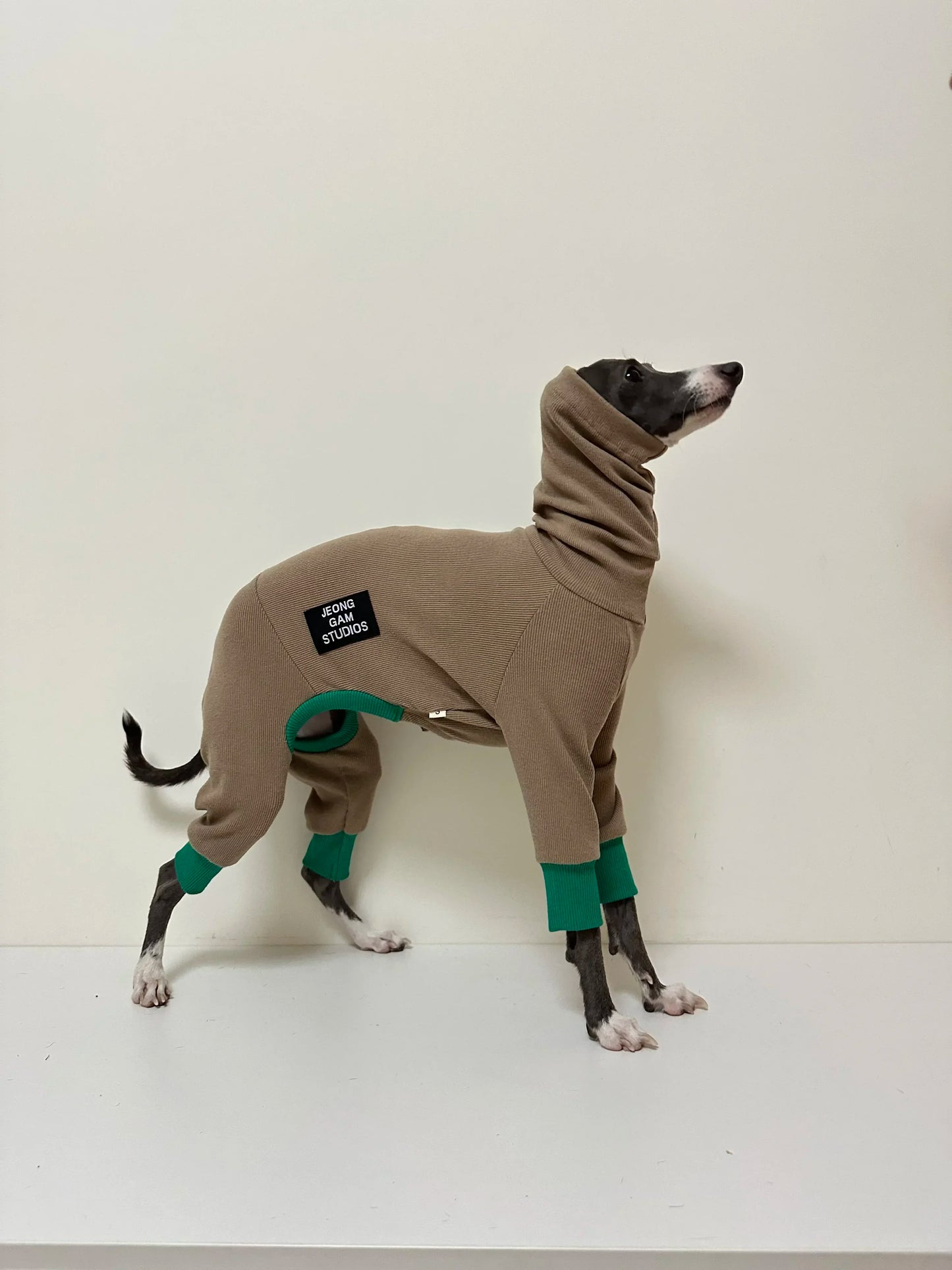 Winter Layer Jumpsuit for Slender Dogs