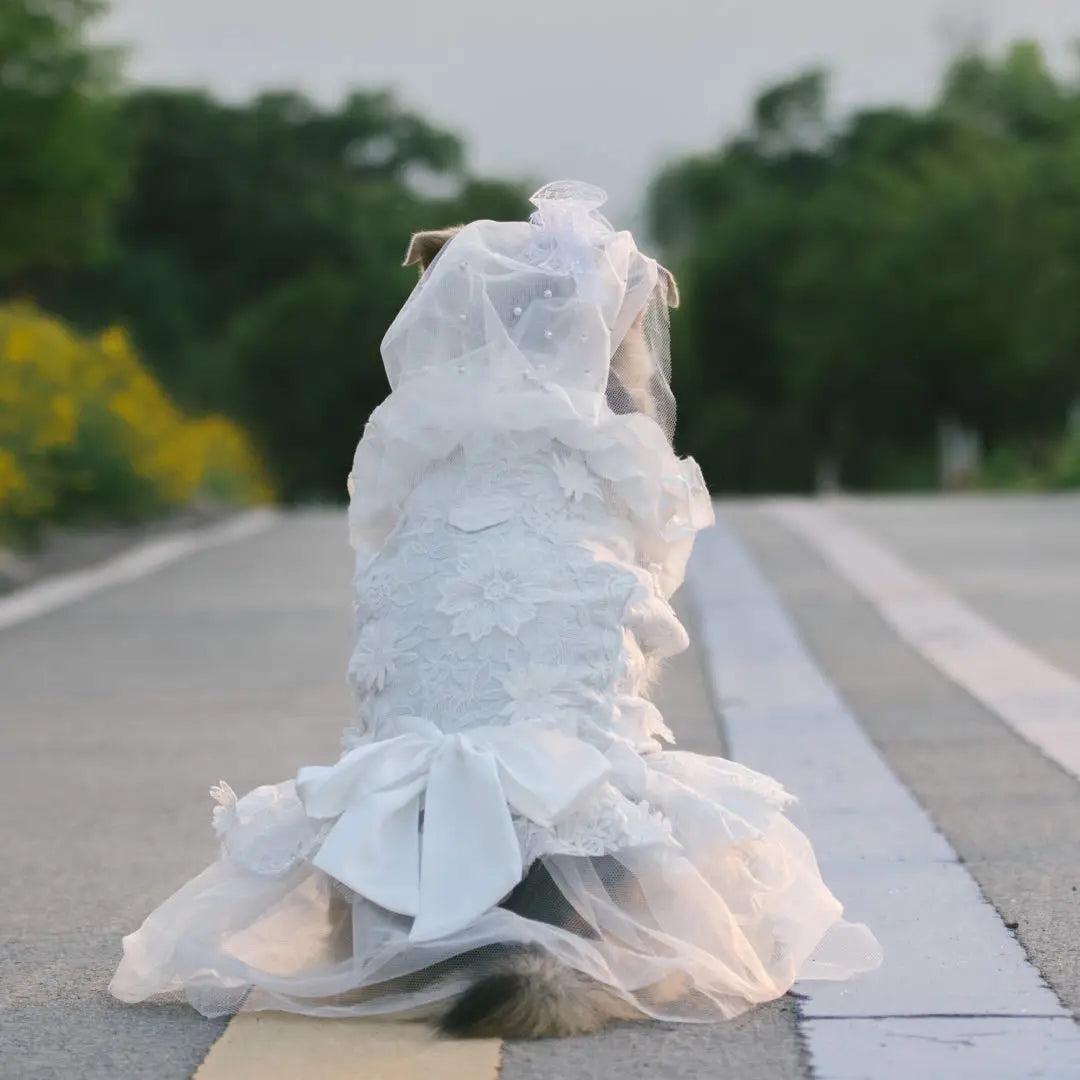 Dog Luxury Lace Wedding Dress | Holiday Gear Collection | Ruffles & Ribbon Bow Gown