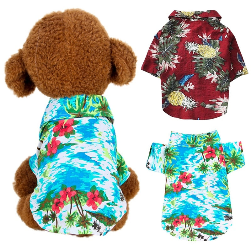 Wicked Awesome Summer Shirts