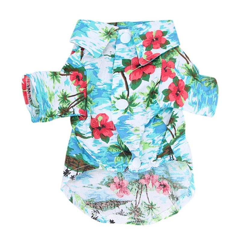 Wicked Awesome Summer Shirts