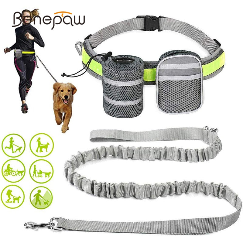 Leash Reflective waist belt with 2 pockets