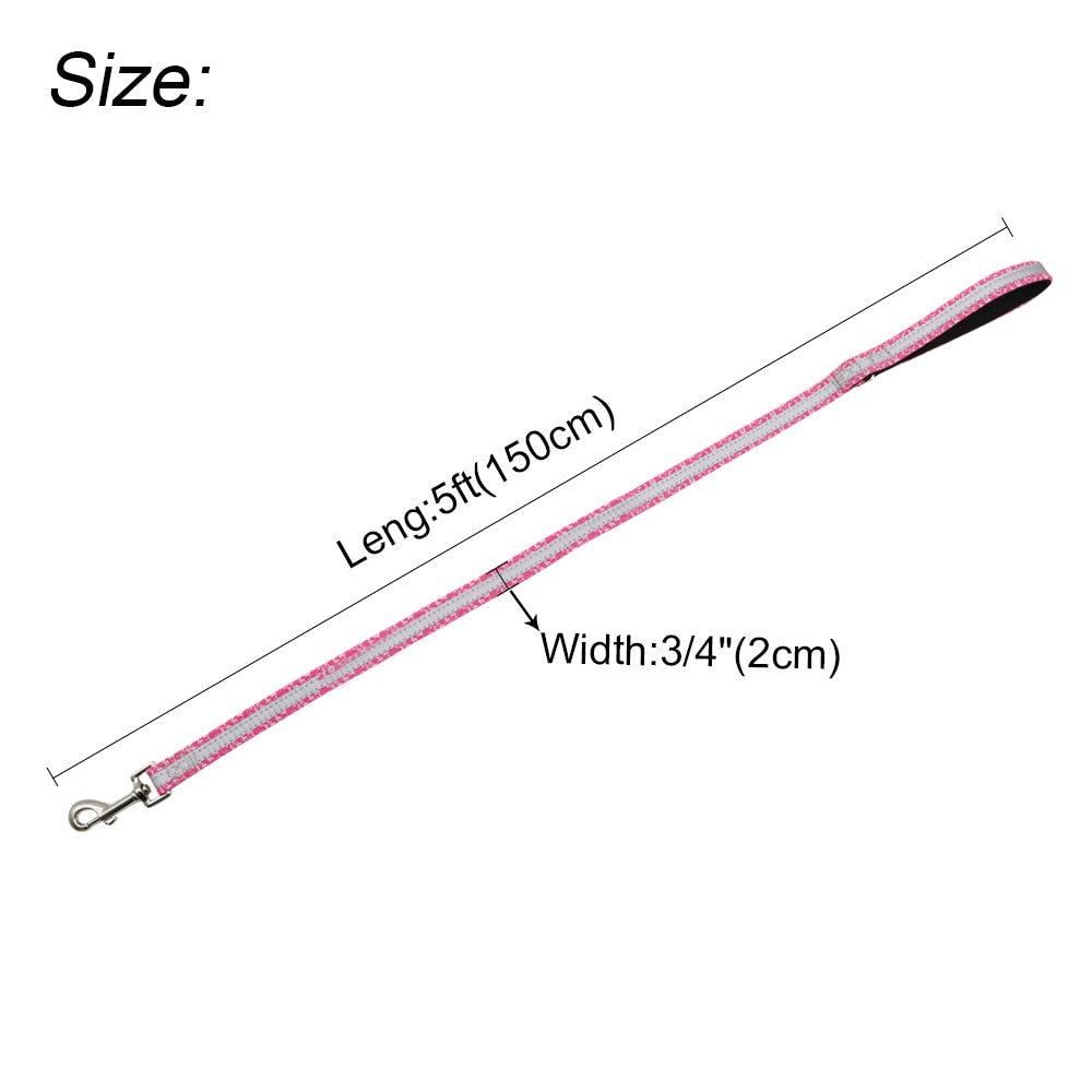 Leash Nylon Reflective 150cm/5ft