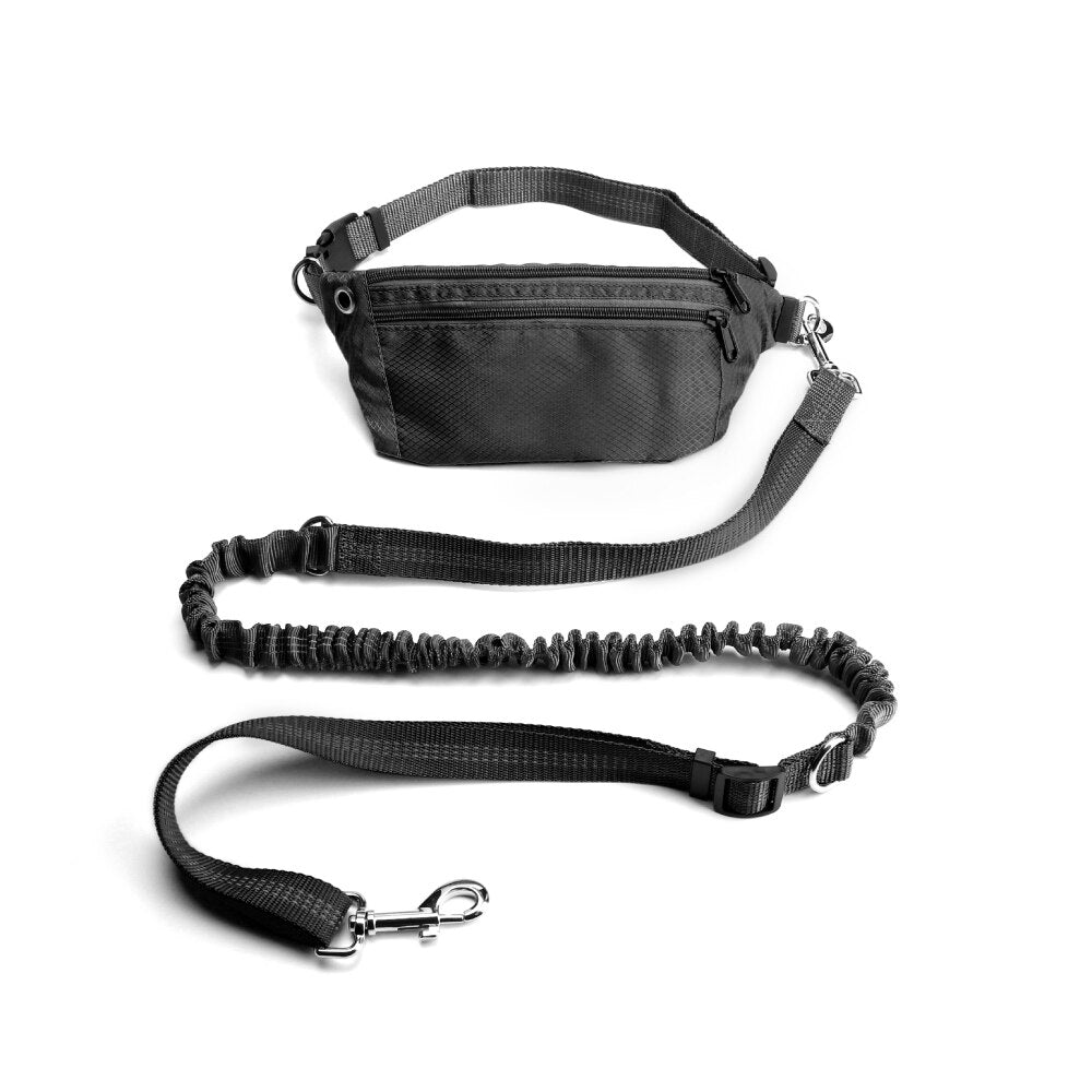 Leash Hands Free Bungee belt with pocket