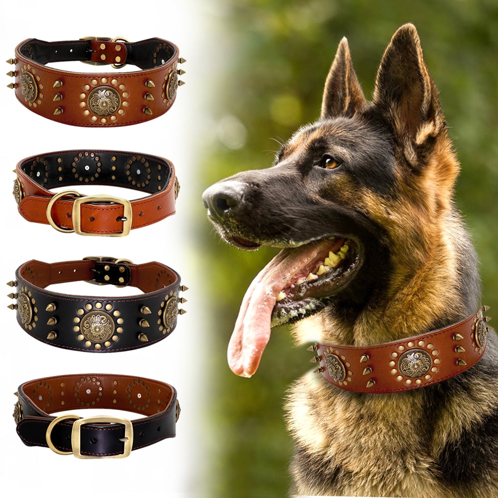 Collar Studded leather L/XL