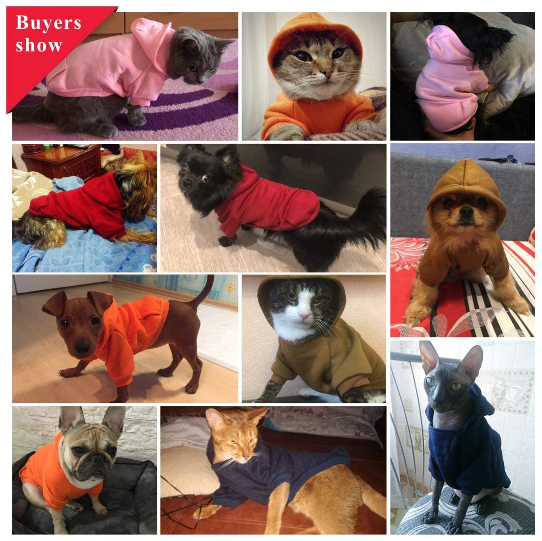 Hoodies solid color small dogs