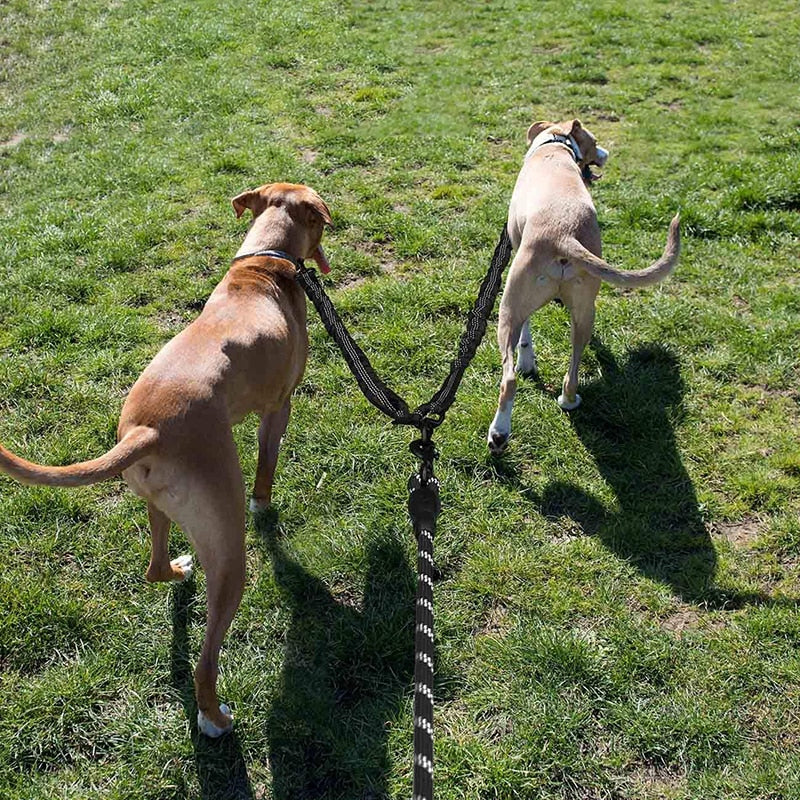 Leash 2 way Rope swivel Reflective