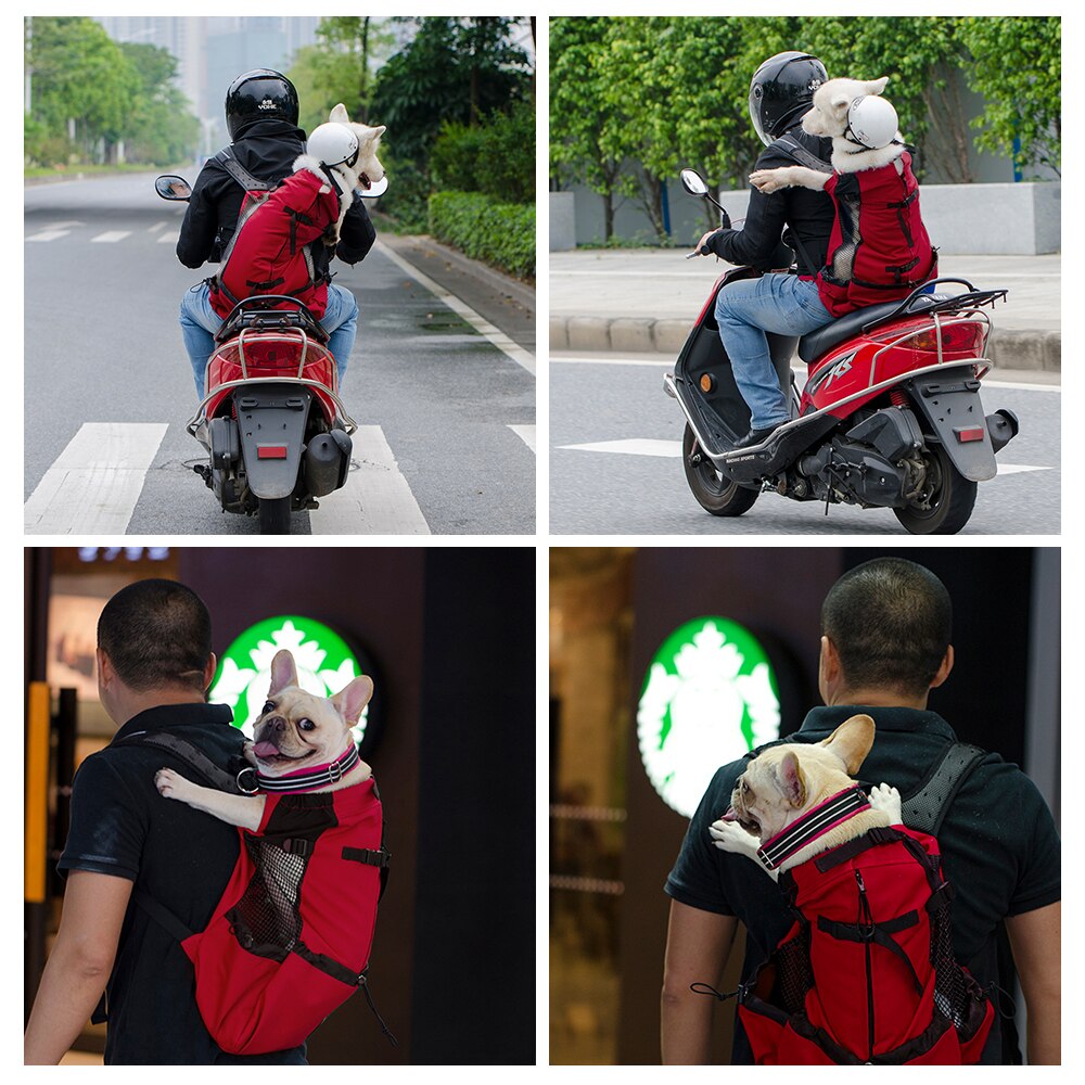 Backpack carrier for dogs