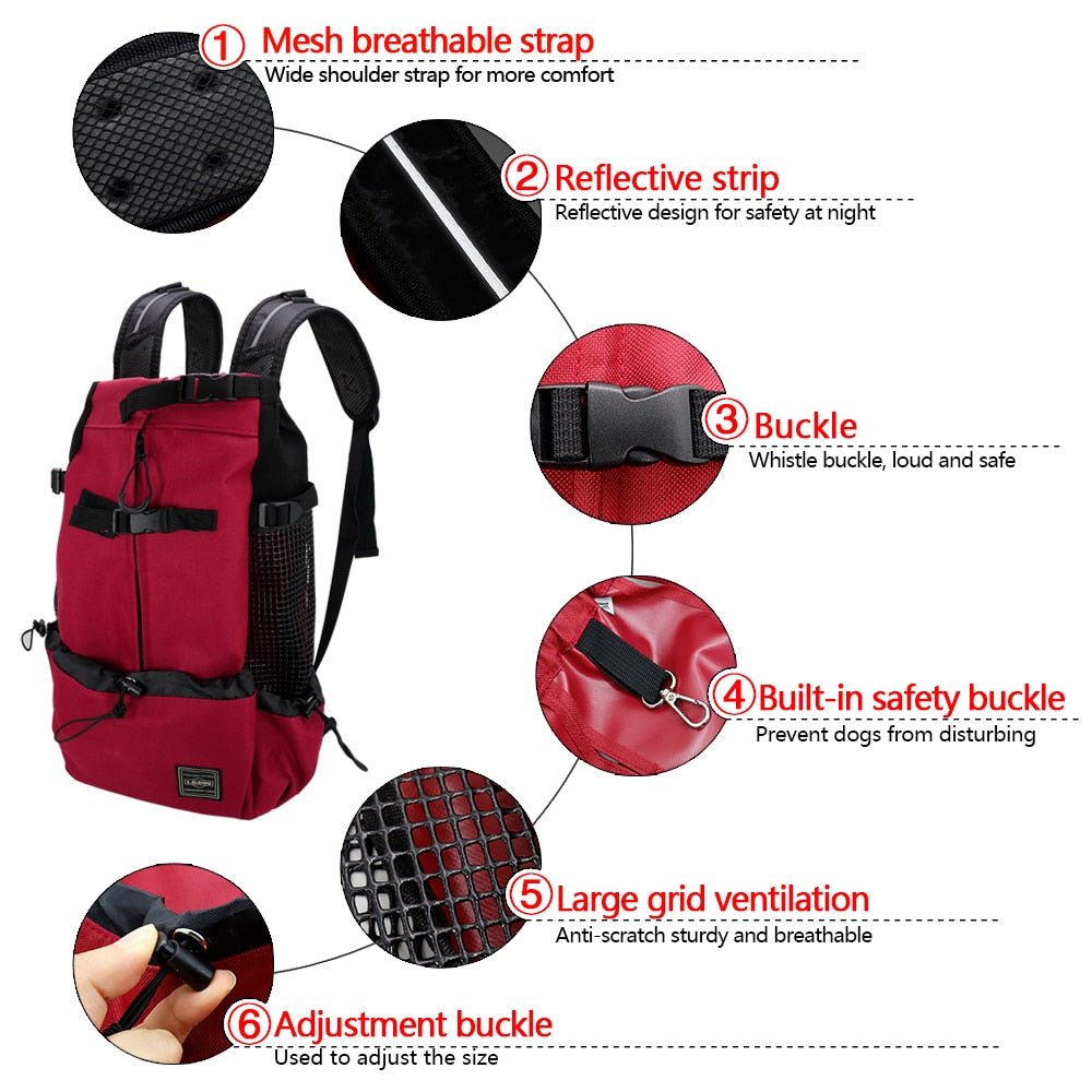Backpack carrier for dogs