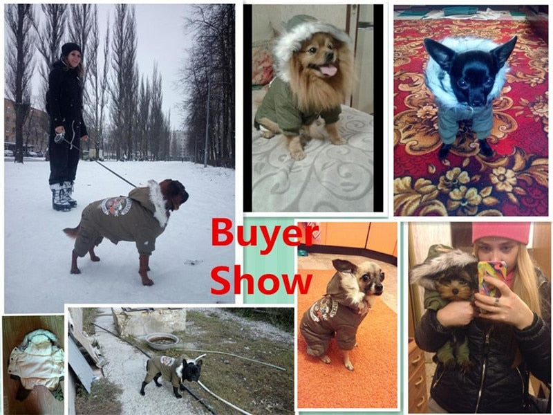 Winter snowsuit with Fur Hood for small dogs