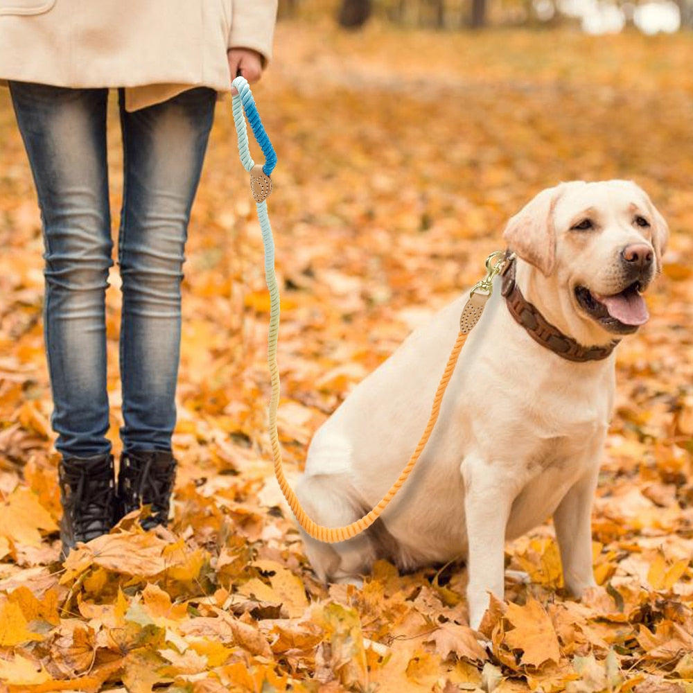 Leash Braided Clip rope 2 sizes