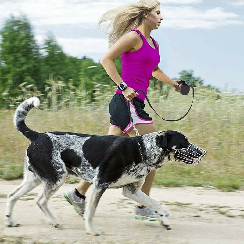 Leash retractable with Flashlight