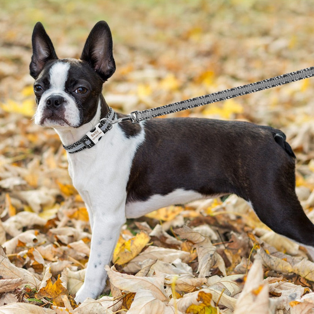 Leash Nylon Reflective 150cm/5ft