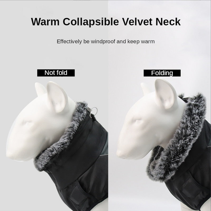 Winter Jacket for Large dogs