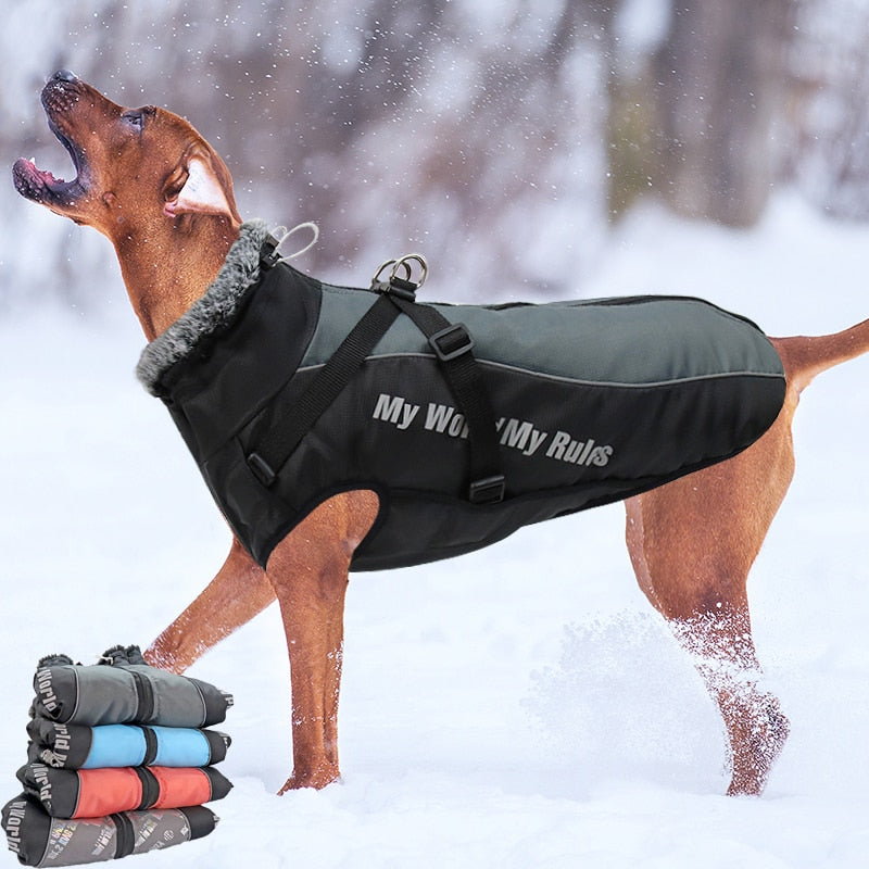 Winter Jacket with Fur Neck for Large Dogs