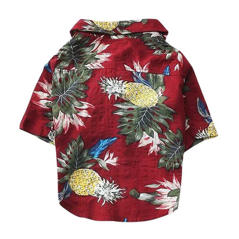 Wicked Awesome Summer Shirts