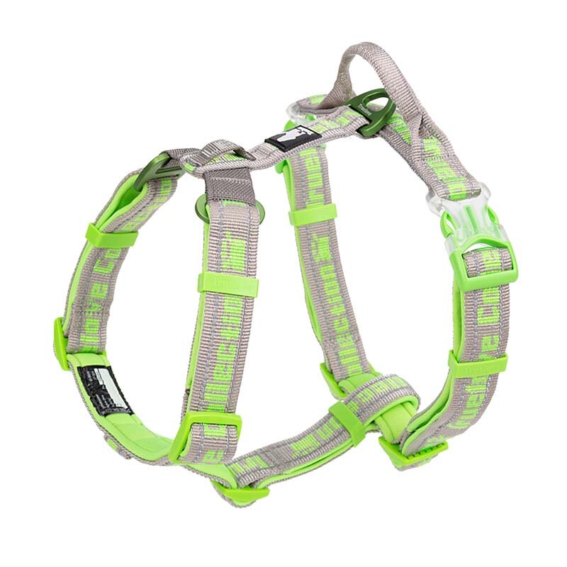 Harness Basic Collection TRUELOVE
