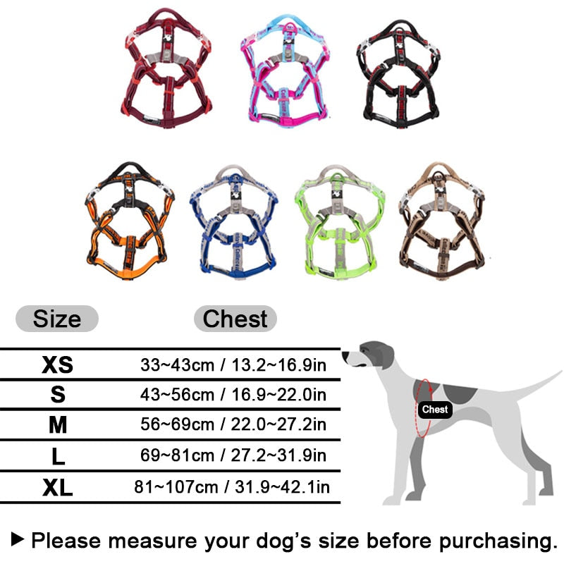 Harness Basic Collection TRUELOVE