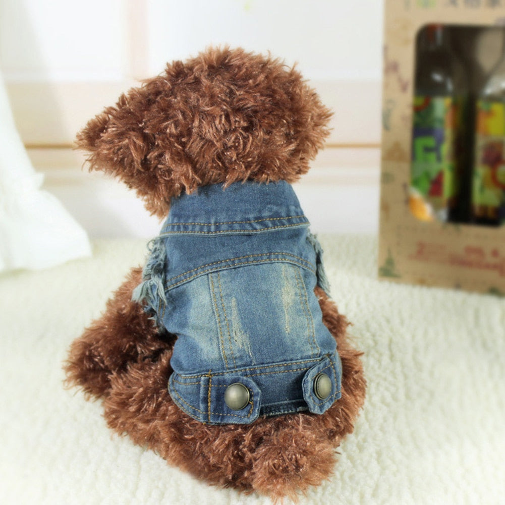 Jean Jacket Miss Doggy