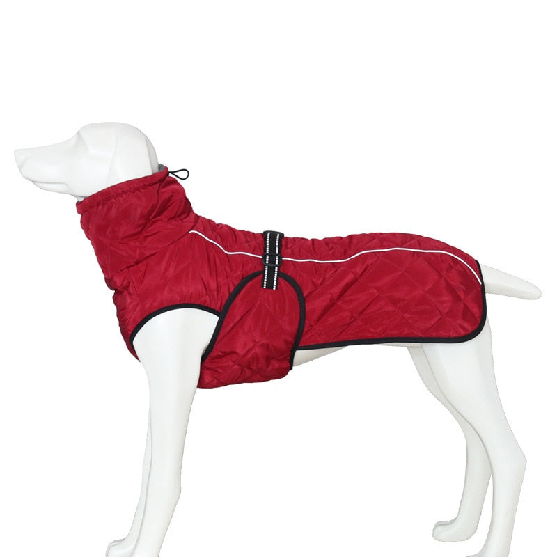 Winter Down Jacket Water and WindProof XS-XL