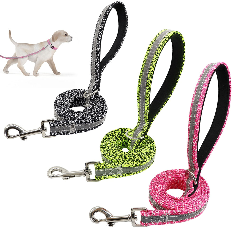 Leash Nylon Reflective 150cm/5ft