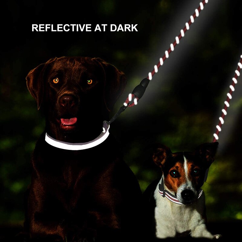 Leash Duuble Coupler Connecter Reflective