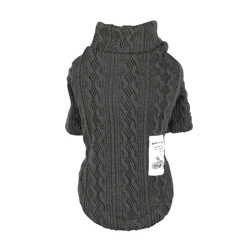 Winter Jacket and sweater