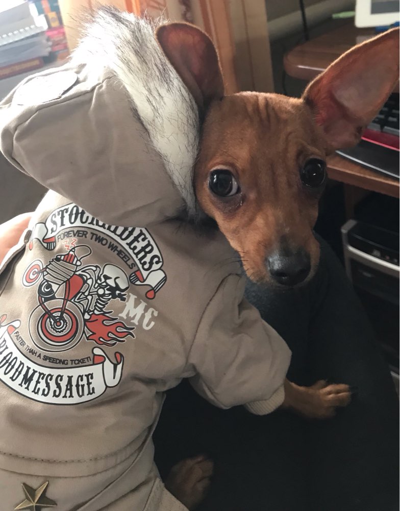 Winter snowsuit with Fur Hood for small dogs