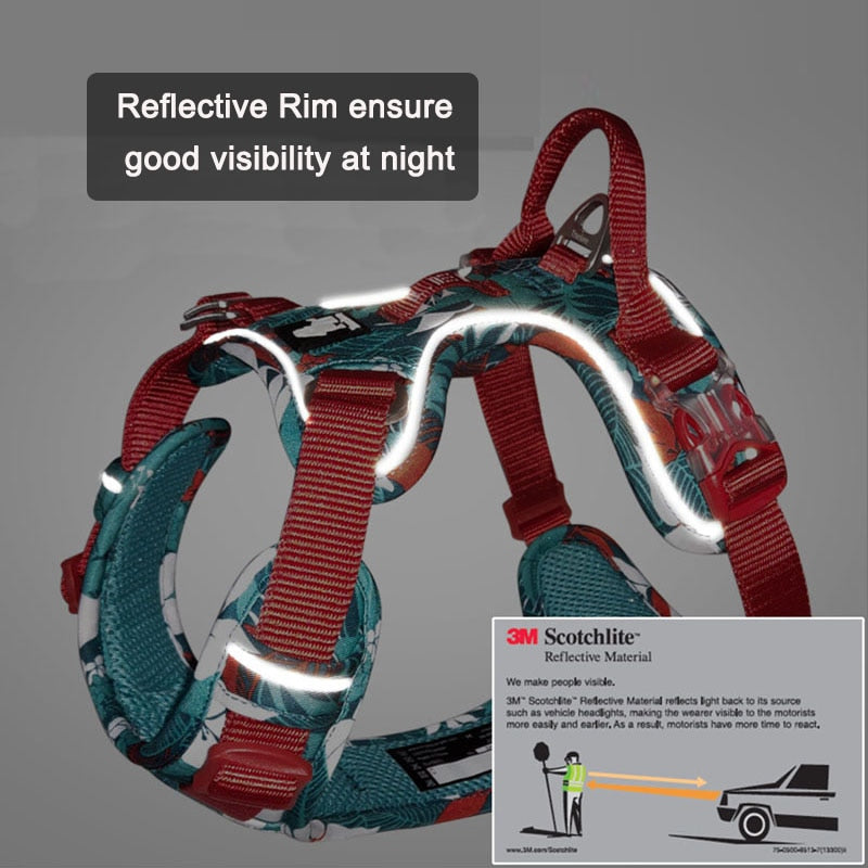 Harness Festive Summer Colors Reflective TRUELOVE