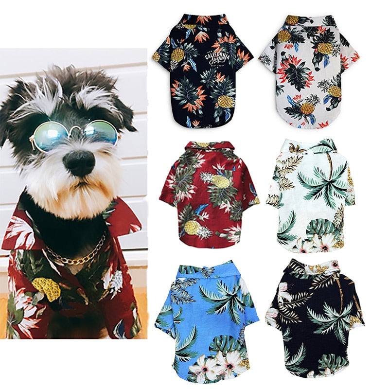 Wicked Awesome Summer Shirts