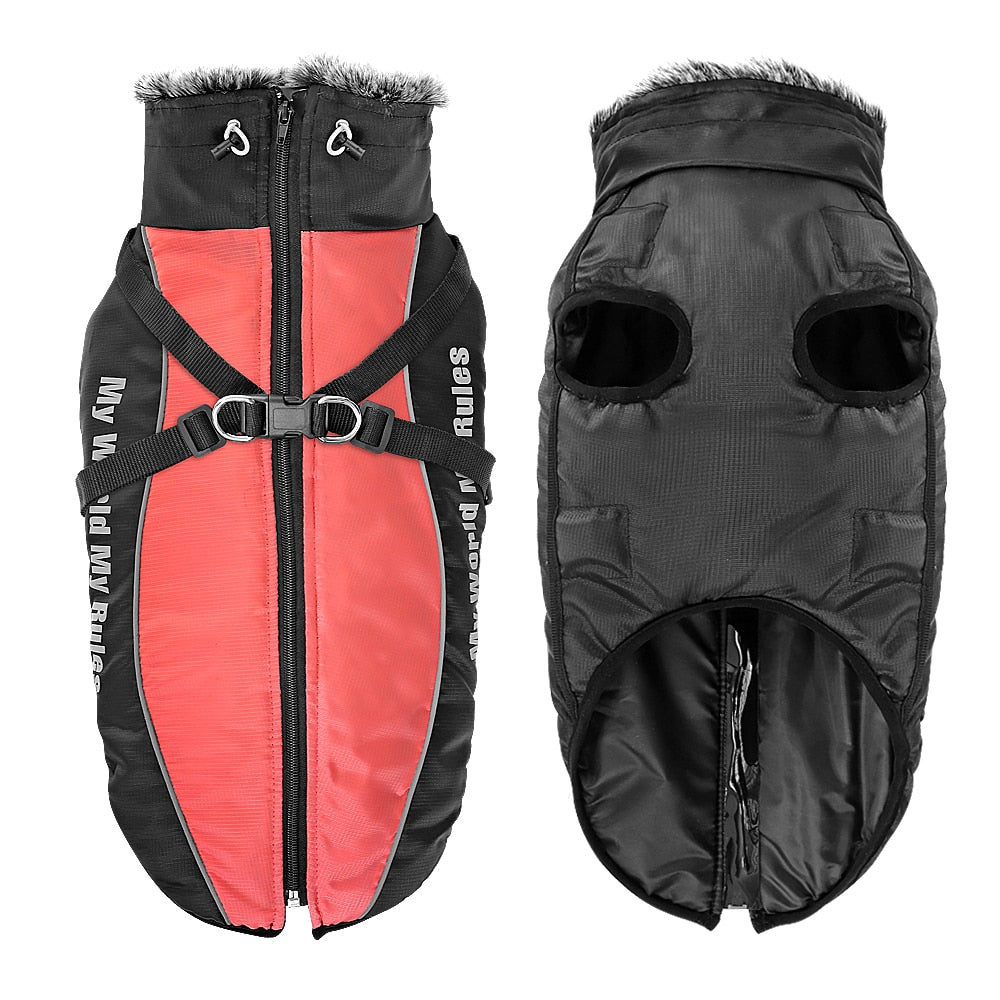 Winter Jacket for Large dogs