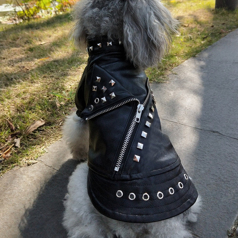 Black Studded Leather Jacket (small to med size dogs)