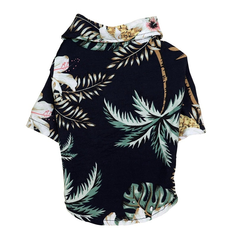Wicked Awesome Summer Shirts
