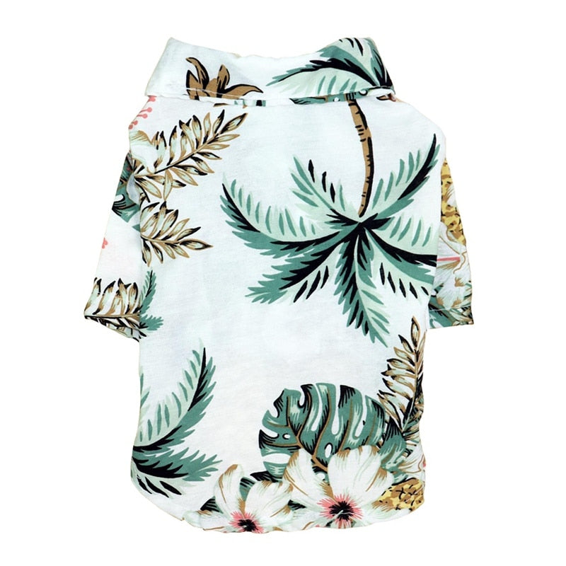 Wicked Awesome Summer Shirts