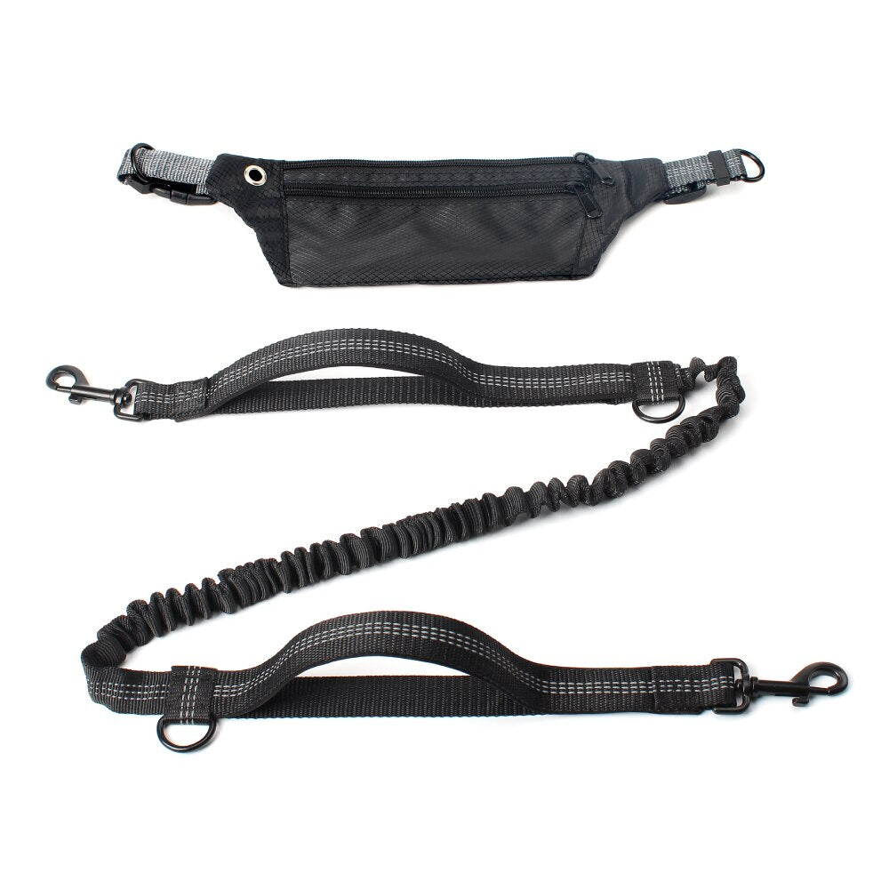 Leash Hands Free Bungee belt with pocket