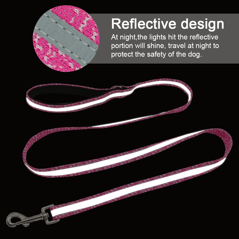 Leash Nylon Reflective 150cm/5ft