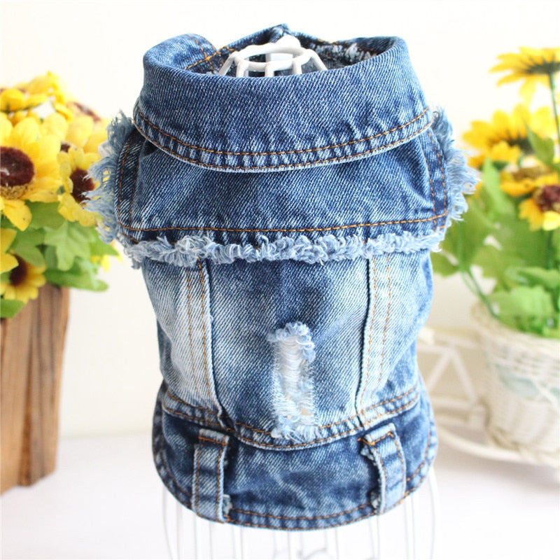 Jean Jacket Miss Doggy