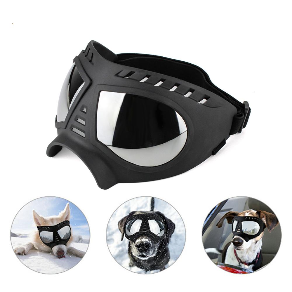 Cool Dog Sunglasses