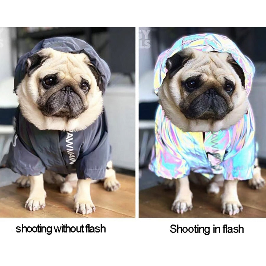 Wickedly Reflective Dog Coat