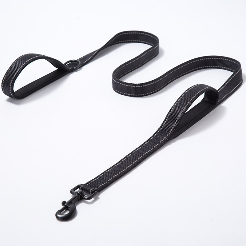 Leash two handle reflective