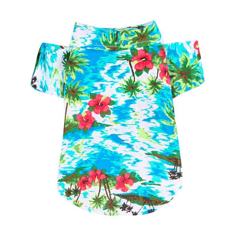 Wicked Awesome Summer Shirts