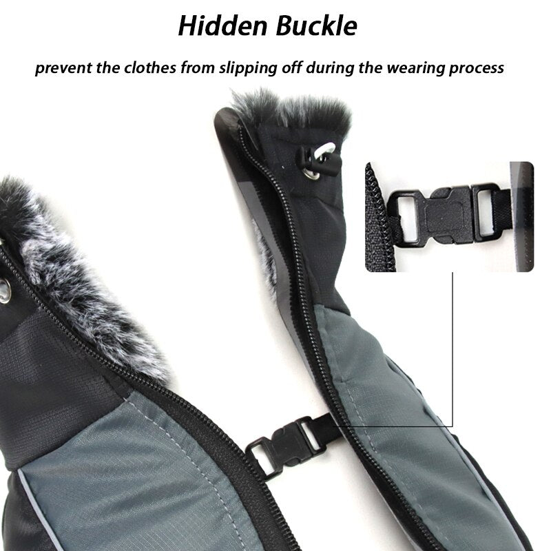 Winter Jacket with Fur Neck for Large Dogs
