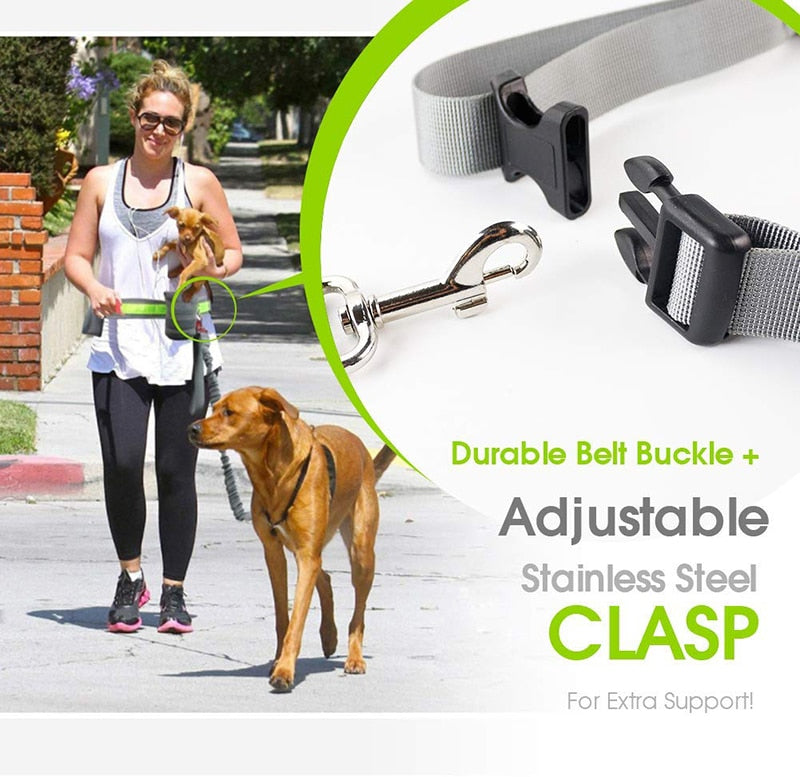 Leash Reflective waist belt with 2 pockets