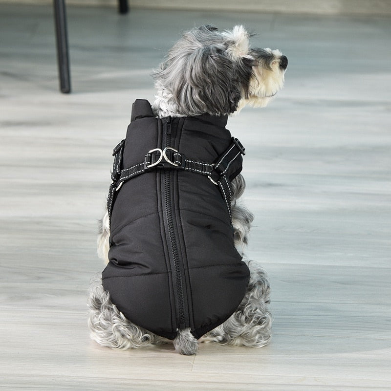 Winter Jacket and sweater