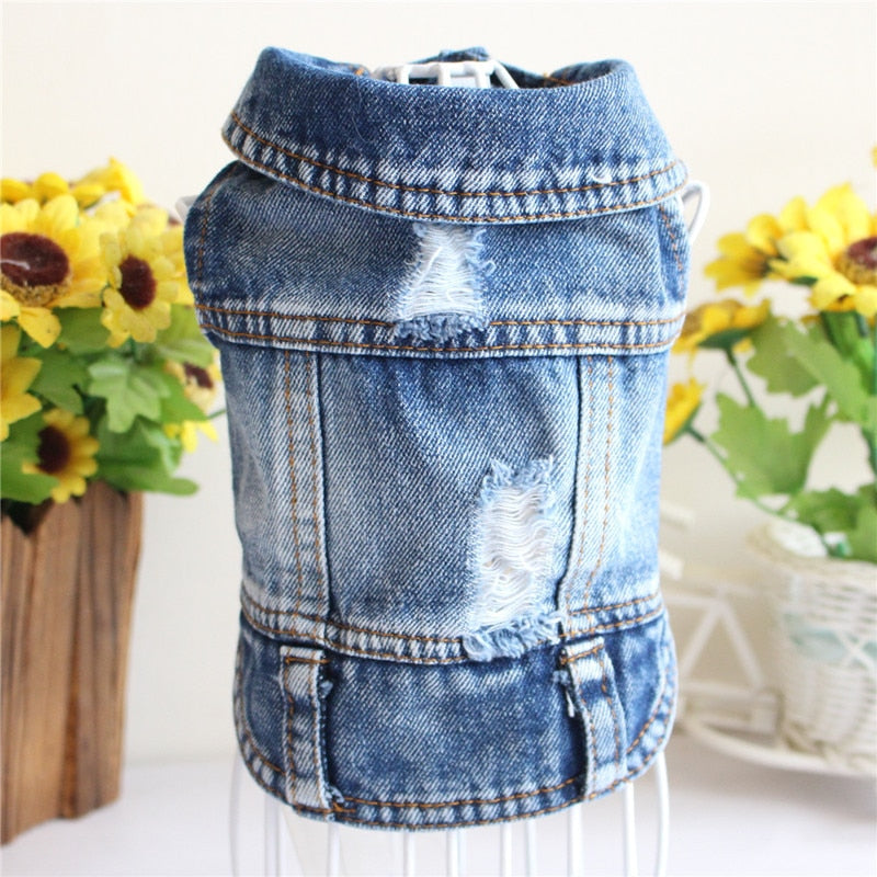 Jean Jacket Miss Doggy