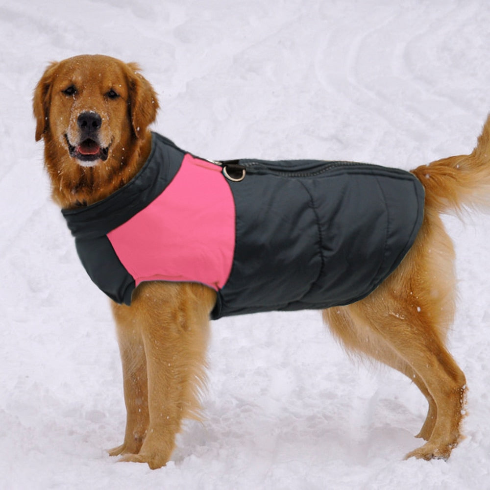 Winter Jacket L-6XL