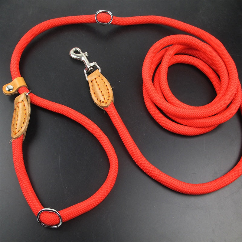 Leash Nylon Slip Rope