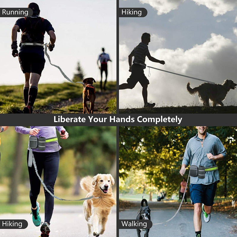 Leash Reflective waist belt with 2 pockets