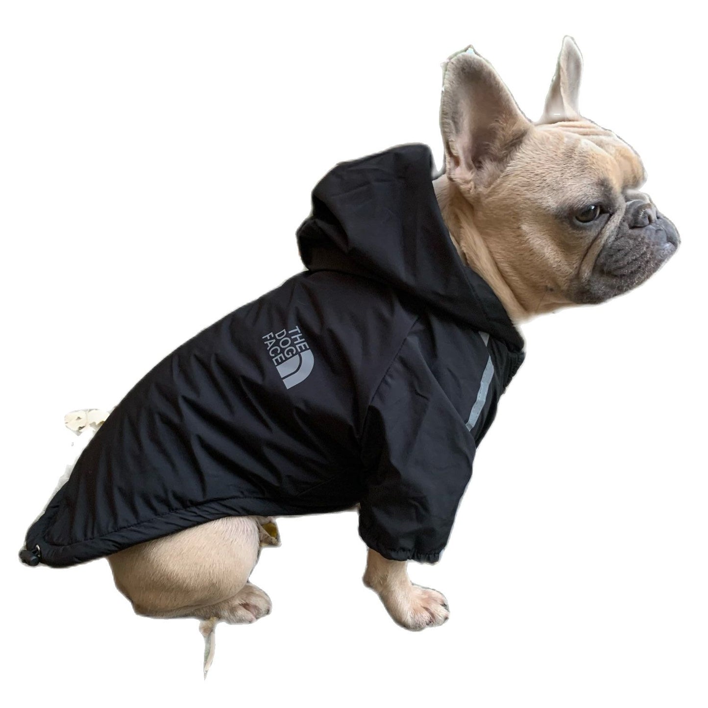 Winter Reflective Waterproof The Dog Face