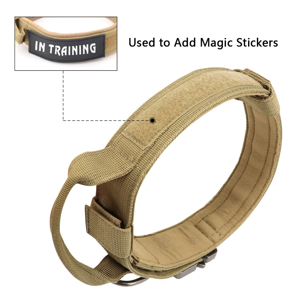 Military Tactical Dog Collar and Bungee Leash Set with Handle