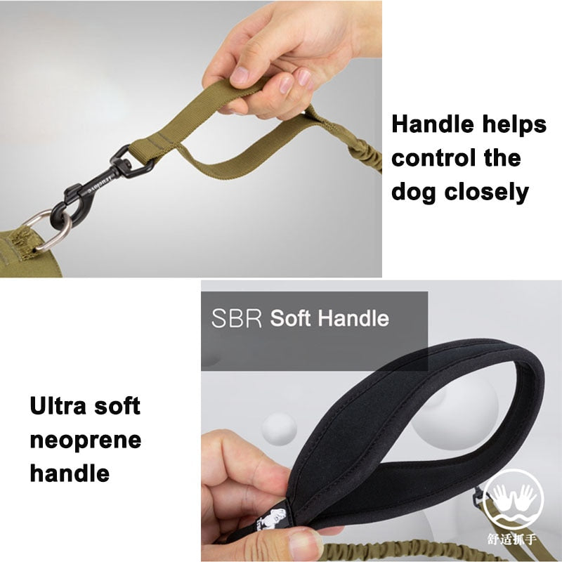 Leash Two Handle bungee TRUELOVE
